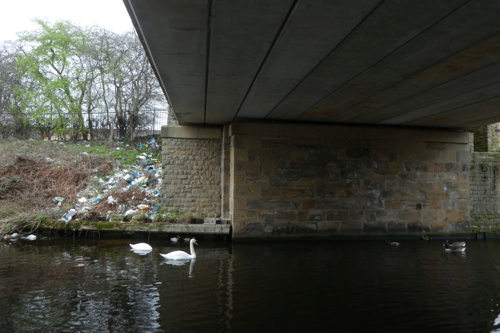 Swans And Fly Tipping DS Pugh Cc By Sa 2 0 Geograph Britain And   7418162 4d505975 Original 