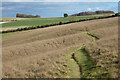 Downland, Blewbury