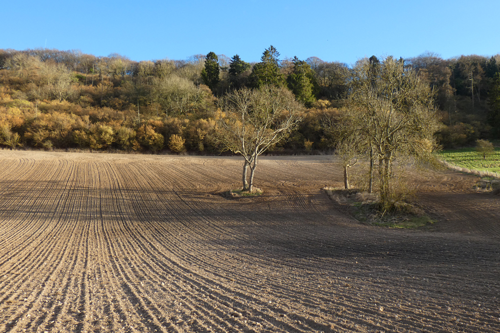 Farmland, Cholsey © Andrew Smith Cc-by-sa/2.0 :: Geograph Britain And ...