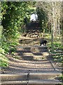 Steps in Perry Wood, Worcester