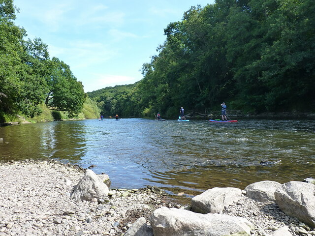 Paddleboarders head down the river