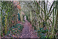 Path to the Bollin