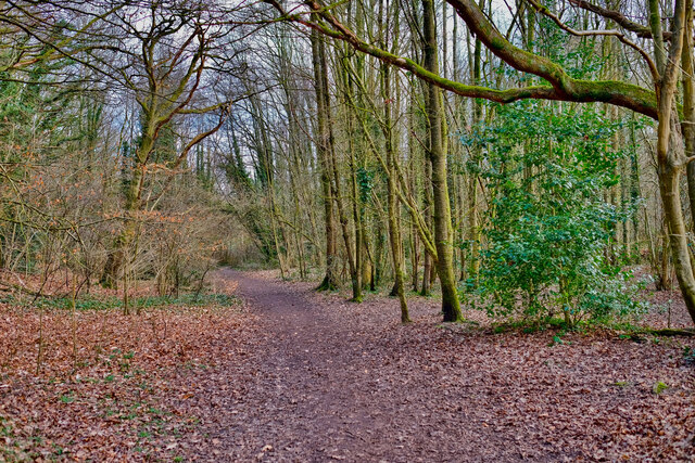 Along the Bollin (2) © Anthony O'Neil cc-by-sa/2.0 :: Geograph Britain ...