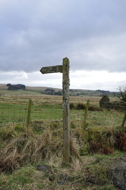 A moss-encrusted fingerpost by Townfoot