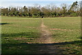 Footpath across field