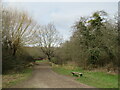 Track onto Ashtead Common