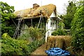 Thatched cottage by the Green