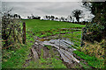 Muddy entrance to field, Garvallagh