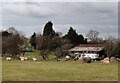SO4697 : Hill Farm near Womerton by Mat Fascione