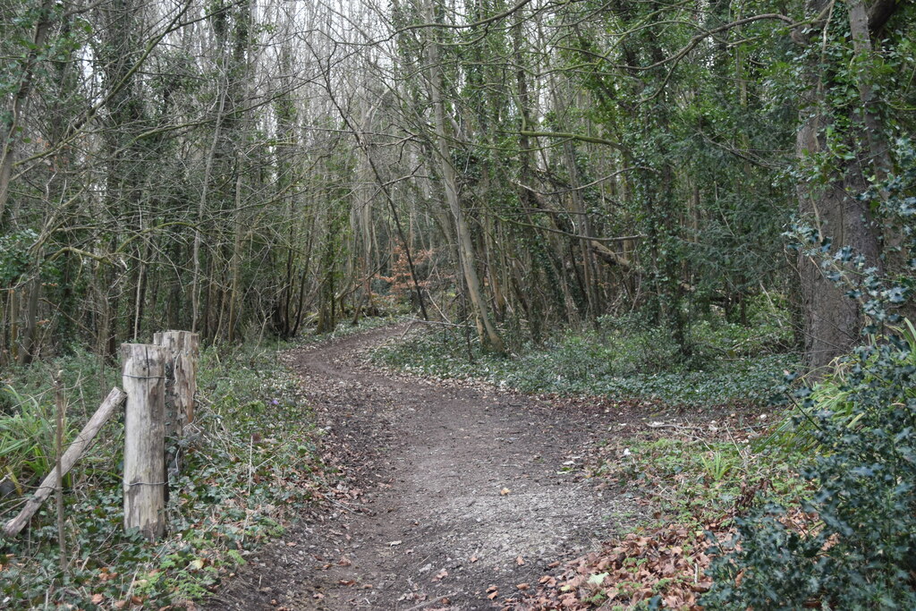 Path into woods opposite North End Farm © David Martin cc-by-sa/2.0 ...