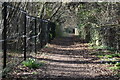 Bridlepath between gardens and woodland at Farnborough