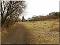 Path at the northwestern end of Boghead Wood