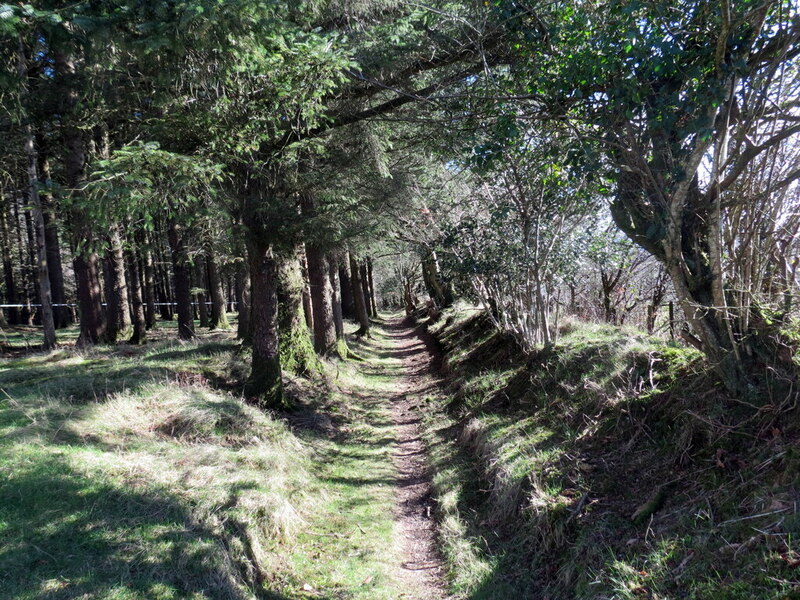 Llwybr Wrth Ystlys Coed Path On The © Alan Richards Cc By Sa 2 0 Geograph Britain And