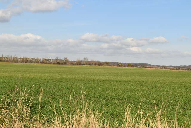 Large field © N Chadwick cc-by-sa/2.0 :: Geograph Britain and Ireland