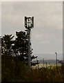 Aberystwyth Fferm Penglais Mobile Transmission Mast