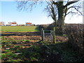 Llwybr Manor Farm / Manor Farm path