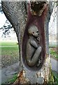 Carving in a dead tree, Canterbury