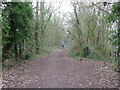 Queens Walk on old railway embankment