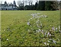 The Green at Woldingham