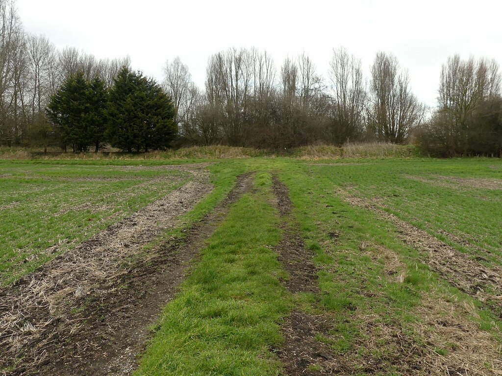 track-to-the-pond-on-barton-moor-alan-murray-rust-cc-by-sa-2-0