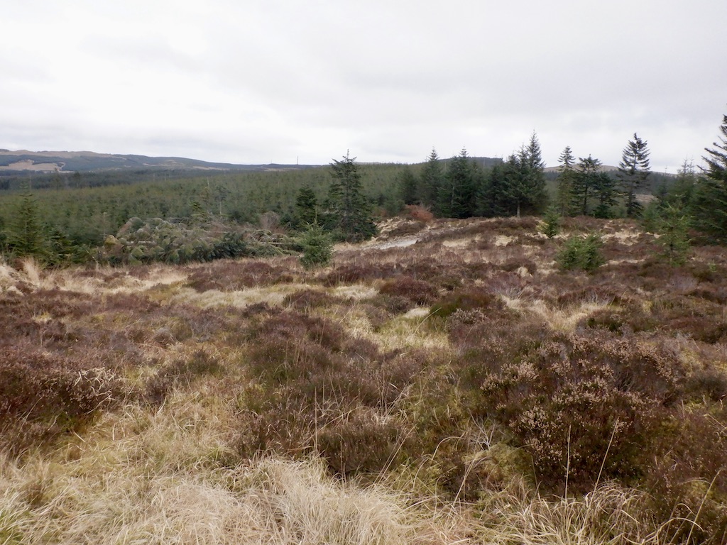 Moorland remnant, Mid Hill © Richard Webb cc-by-sa/2.0 :: Geograph ...