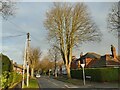 Central Avenue, Beverley