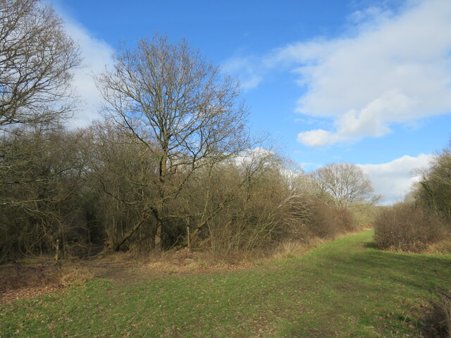 Ashtead Common © Malc McDonald cc-by-sa/2.0 :: Geograph Britain and Ireland