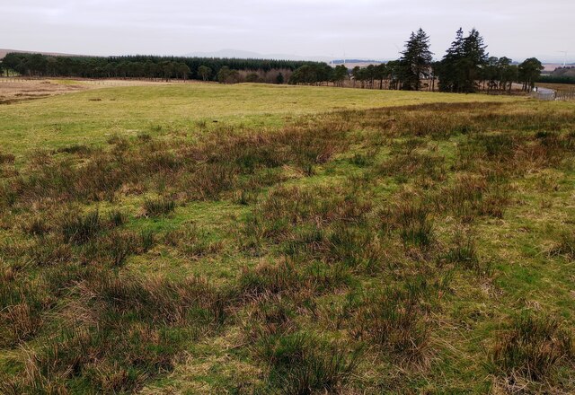 Rough Grazing And Coniferous Plantations © Jim Smillie :: Geograph 