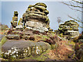 SE2064 : Brimham Rocks by David Dixon