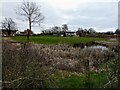 The site of a 14th century moat in Hadnall