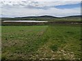 Looking towards the Loch of Brockan