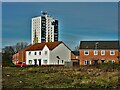 Bellfield Avenue, Kingston upon Hull