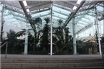 SP3265 : View of the greenhouse in Jephson Gardens by Robert Lamb