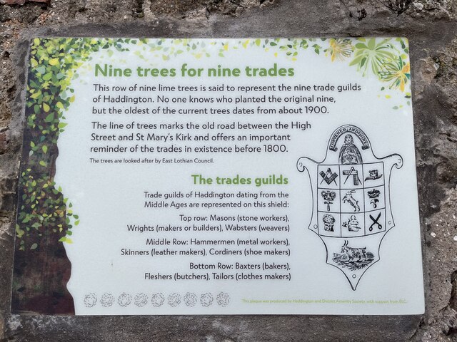 Nine Lime Trees for Nine Trade Guilds in Haddington
