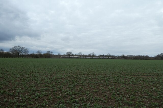 field-near-the-railway-ds-pugh-cc-by-sa-2-0-geograph-britain-and