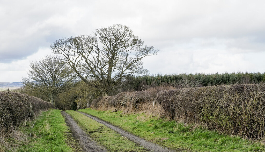 restricted-byway-close-to-trig-point-at-trevor-littlewood-cc-by-sa