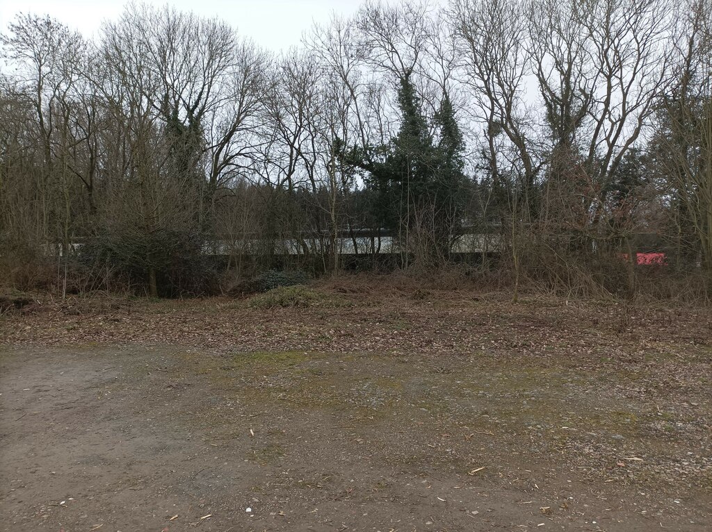 chicken-farm-through-trees-pebble-geograph-britain-and-ireland