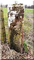 Gatepost with benchmark on NW side of road east of Castlesteads