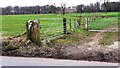 NY5163 : Gatepost at end of fence on NW side of rural road east of Castlesteads by Roger Templeman