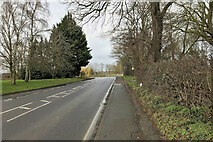 SE5559 : York Road (A19) Shipton by Beningbrough by David Dixon