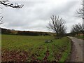 Land off track to Houghton Down Farm