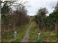 Restricted byway north of Cowdown Lane