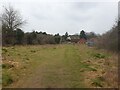 Path to Village Hall