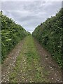 Wales Coast Path