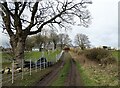 Tanfield Leith farm from the access road