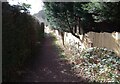 Footpath to Banton Loch