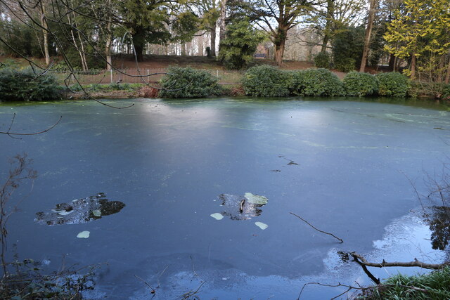 Icy Pond, Ayr