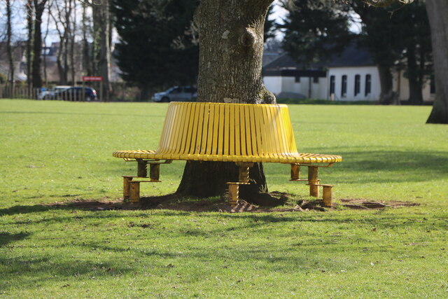 Yellow Tree Seat, Ayr