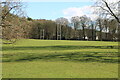 Rugby Pitch, Rozelle Park