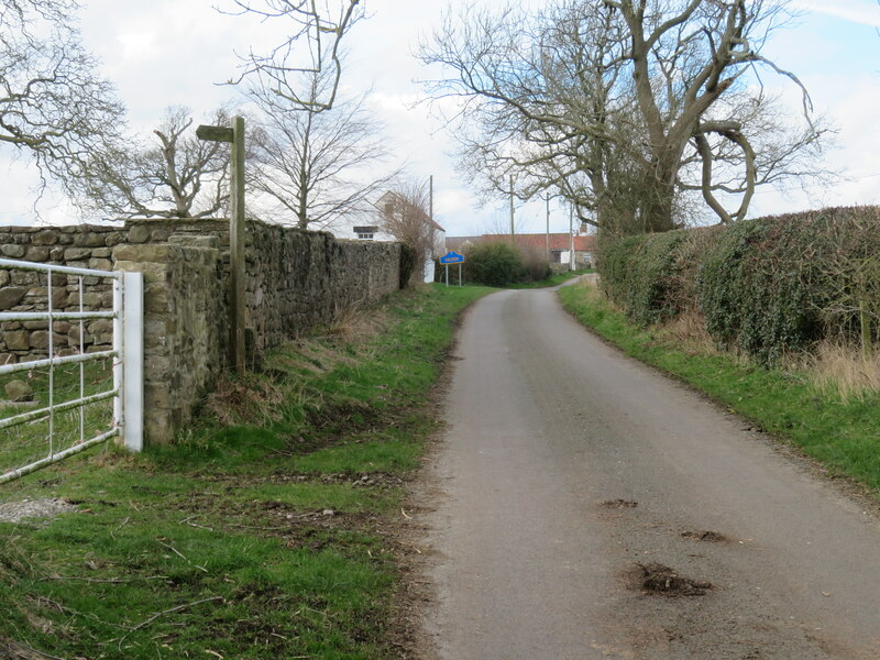 Lane Approaching Hilton © Gordon Hatton Cc By Sa 2 0 Geograph